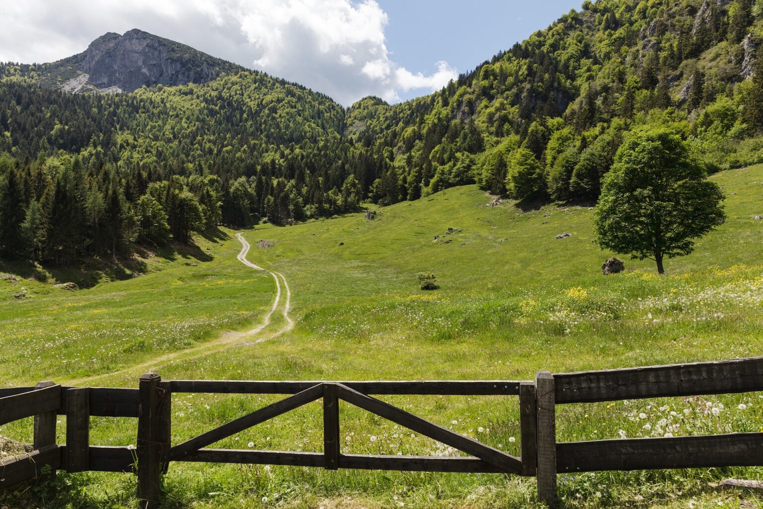 Trento